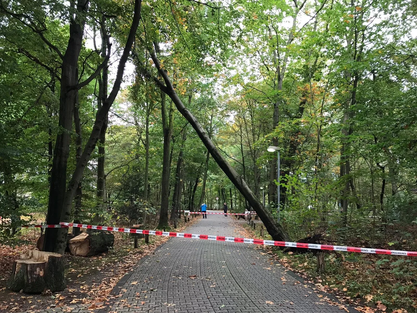Zufahrt zum Clubgelände wieder freigegeben!