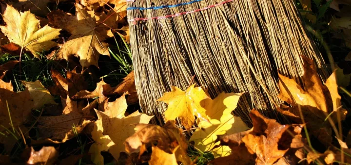 Herbstputz am 16.11. von 11:00-13:00
