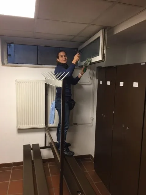 Danke für die Unterstützung beim Herbstputz!