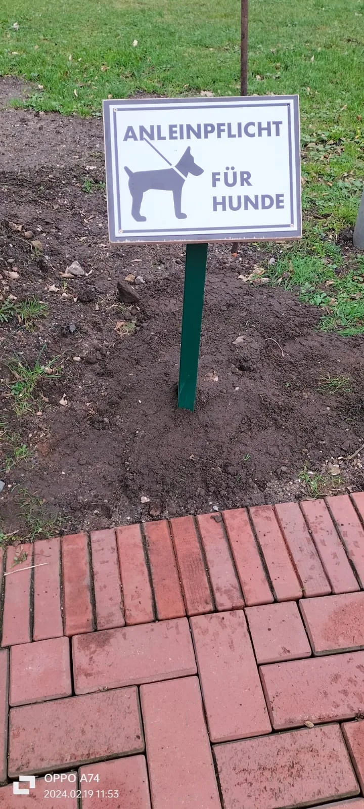 Anleinpflicht für Hunde auf dem Clubgelände